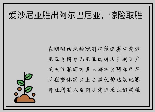 爱沙尼亚胜出阿尔巴尼亚，惊险取胜