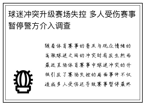 球迷冲突升级赛场失控 多人受伤赛事暂停警方介入调查